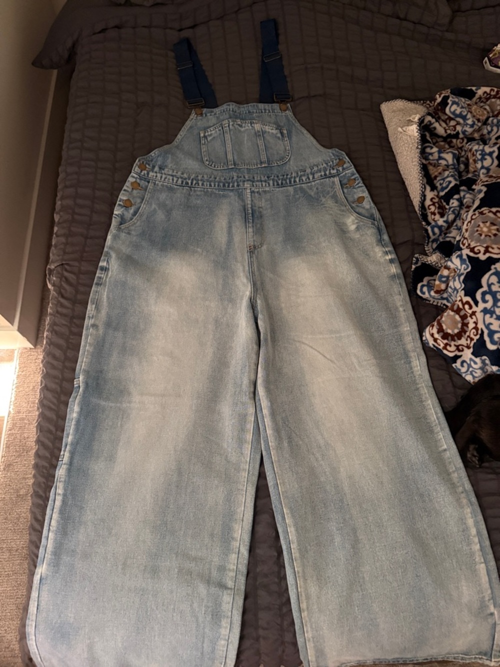Cider Light Blue Wide-Leg Denim Overalls. No tags, but never worn.